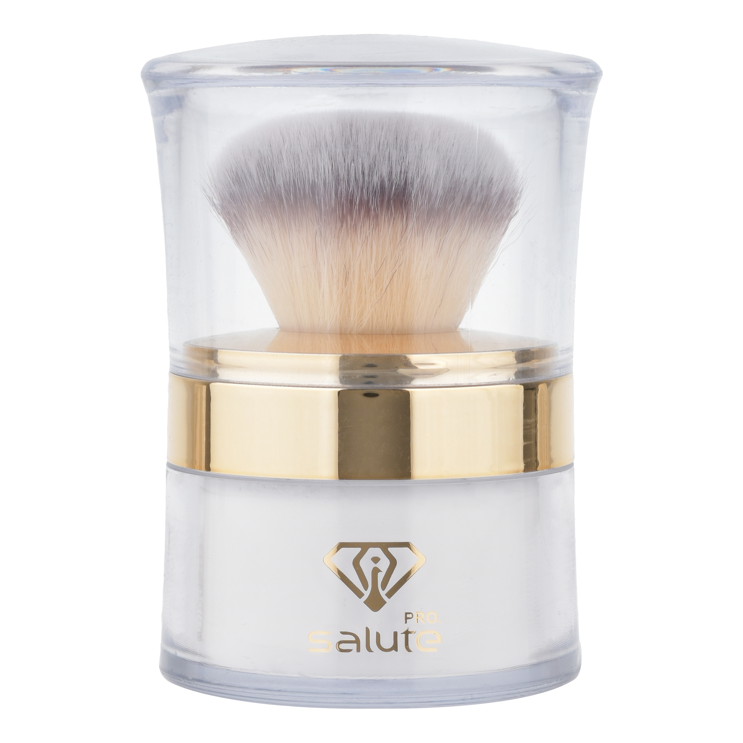 پودر تثبیت کننده آرایش سالوته پرو مدل S-01 پودر تثبیت کننده آرایش سالوته پرو مدل S-01